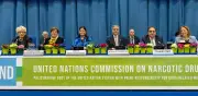 Panel de expertos de la ONU sobre drogas: ¿avance real o nueva prórroga del problema?