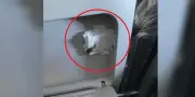 Pasajero denuncia servilleta con material fecal en vuelo de Avianca Bogotá-Chicago