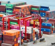 Perú suspende por 90 días importaciones avícolas desde Chile por influenza aviar