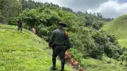 Policía Nacional recupera 17 cabezas de ganado robadas en Antioquia tras operativo en Caldas