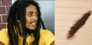 Rasta de Bob Marley no se vendió en subasta por no alcanzar los 33 mil dólares