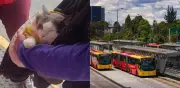 Rescatan gatito usado para mendicidad en TransMilenio: lo transportaban en maleta por horas