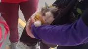 Rescatan gato en Transmilenio usado para mendicidad: así puede denunciar maltrato animal