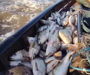 Semana Santa impulsa pico histórico en ventas de pescado en Uruguay