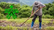 SENA lanza tiendas Zajuna Campo para que campesinos vendan sin intermediarios