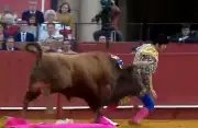 Torero español José Antonio Morante se recupera tras grave cornada en Sevilla: 'El dolor más fuerte de mi vida'