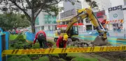 Tres de cada 10 árboles en Bogotá mueren tras ser trasladados por obras de infraestructura