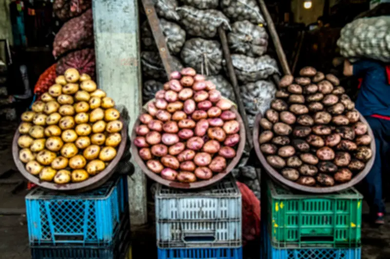 Abastecimiento en mercados mayoristas cayó 8,7% en abril por Semana Santa