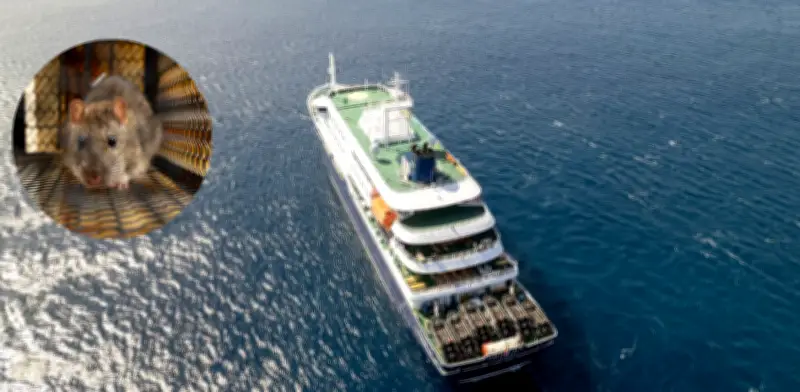 Alerta de la OMS por hantavirus en crucero: ¿qué tan peligroso y contagioso es?