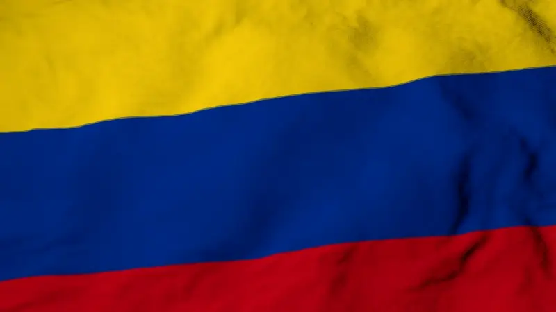 Alexandra Vidente ratifica a Iván Cepeda como próximo presidente de Colombia en 2026