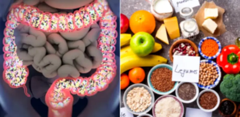 Alimentos clave para fortalecer la microbiota intestinal y mejorar la salud digestiva