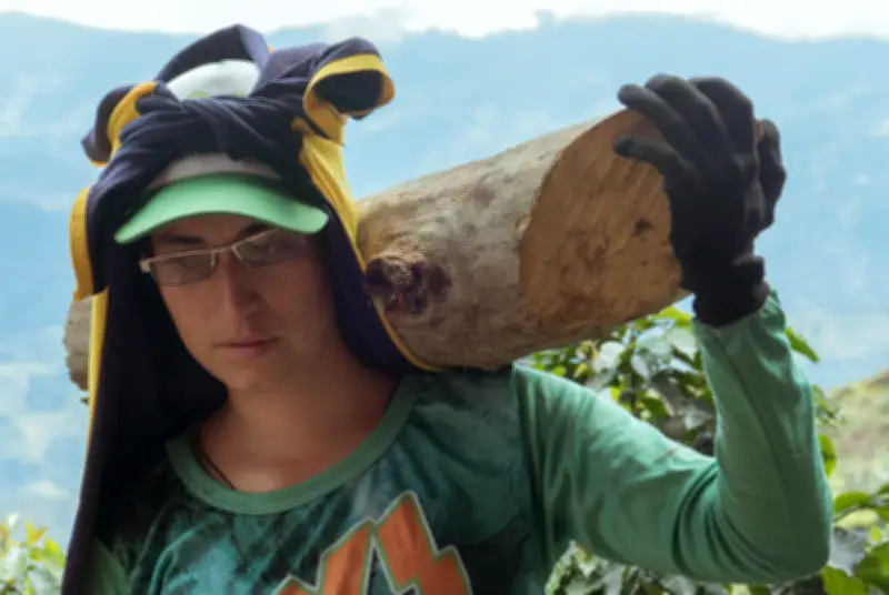 Andariega: el documental que visibiliza a las mujeres recolectoras de café en Colombia