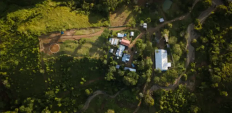 ANLA otorga licencia ambiental al proyecto de cobre El Alacrán en Córdoba