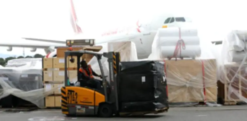 Avianca Cargo transportó el 42% de flores colombianas para el Día de la Madre