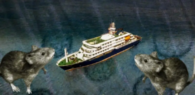 Brote de hantavirus en crucero: tres muertos y 149 personas aisladas