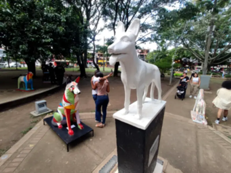Cali 'Borondiando Ando' en el Parque del Perro: cierres viales y actividades