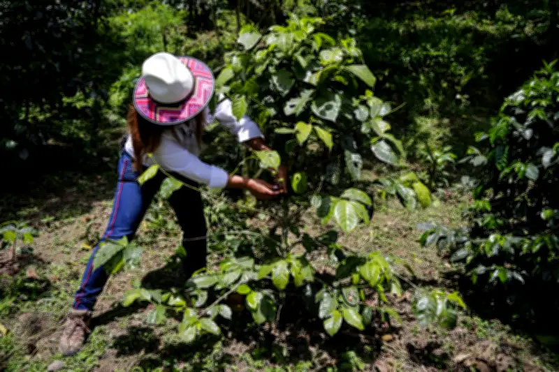 Campesinos alertan sobre riesgos de trasladar funciones de tierras a jueces