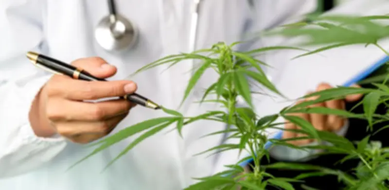 Cannabis recreativo supera primer debate en la Cámara de Representantes