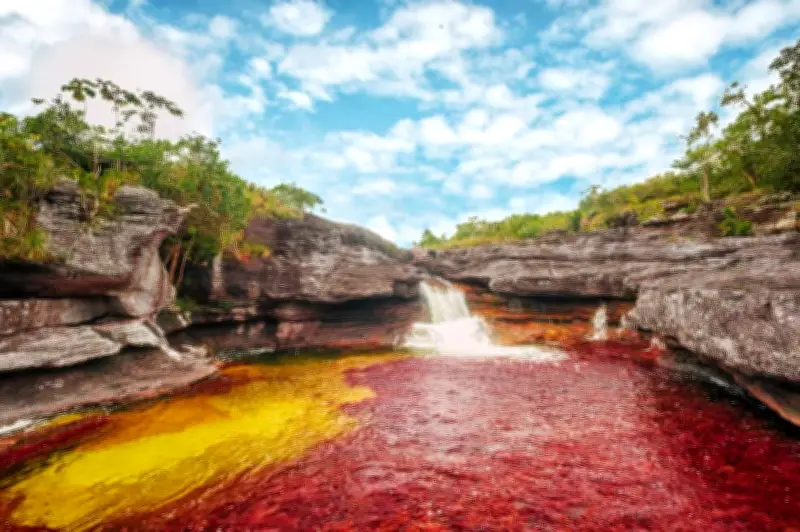 Caño Cristales 2026: fechas, precios y actividades en el río de los siete colores