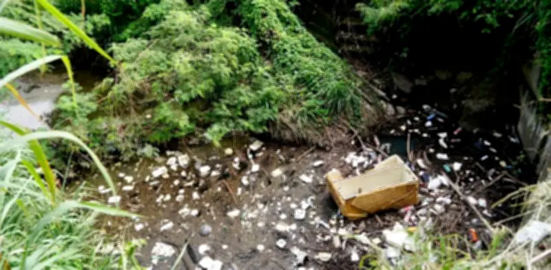 CAR limpia cuerpo hídrico en Girardot tras avistamiento de nutria neotropical