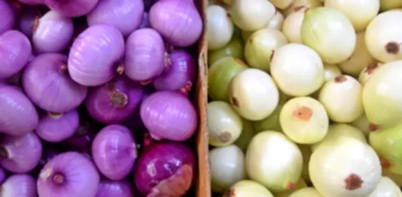 Cebolla morada vs blanca: diferencias, propiedades y beneficios para la salud