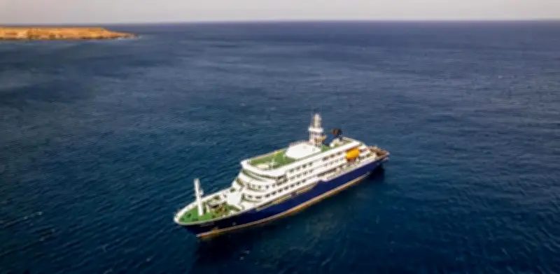 Cepa Andes de hantavirus: letalidad del 30% y transmisión entre humanos en crucero