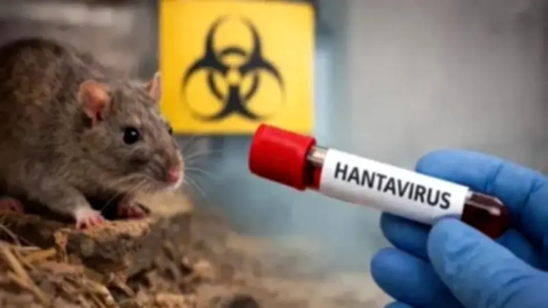 Chile: 39 casos de hantavirus y 13 muertes en 2026, letalidad del 33%