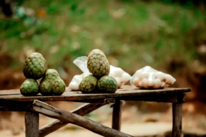 Chirimoya: la fruta andina que conquista paladares