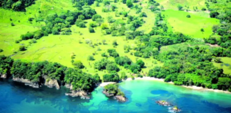 Chocó amplía santuario para proteger tortugas marinas y manglares en frontera con Panamá