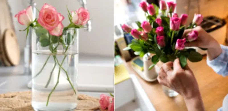 Cómo hacer que las rosas duren más de una semana en casa: claves para evitar que se marchiten