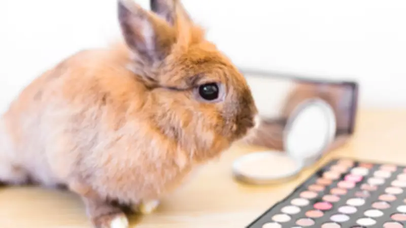 Colombia prohíbe pruebas en animales para cosméticos: nueva reglamentación
