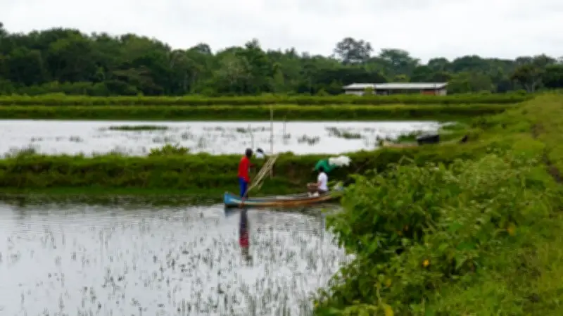 Cooperación Sur-Sur: Santa Marta como epicentro del diálogo global