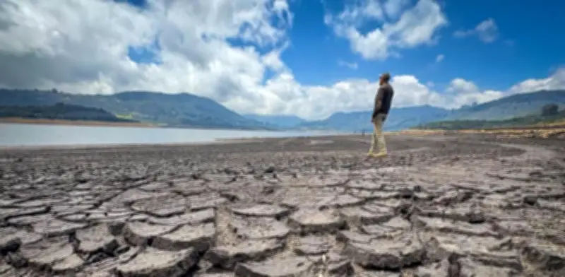 Creg alista cinco medidas para enfrentar el fenómeno de El Niño en 2026