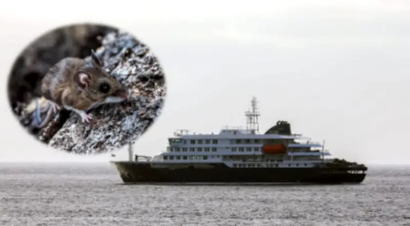 Crucero con hantavirus rumbo a Canarias pese a rechazo de España