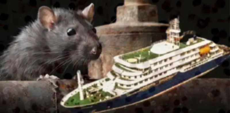 Crucero MV Hondius llega a Tenerife: operativo blindado por brote de hantavirus