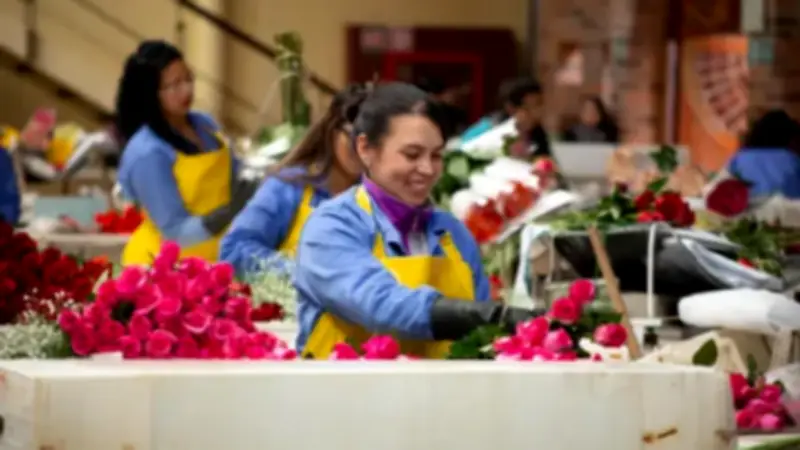Día de la Madre 2025: floricultura colombiana exporta 59.000 toneladas