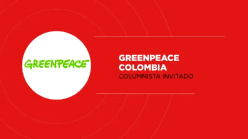 Día del Reciclaje: el verdadero reto es reducir la producción de plástico