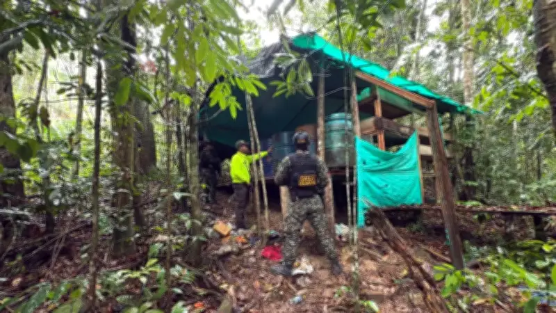 Desmantelan laboratorio de coca del Clan del Golfo en Betulia, Santander