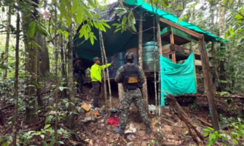 Destruyen laboratorio de coca en Betulia, Santander: producía 200 kilos al mes