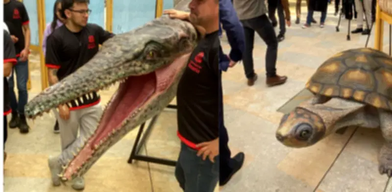 Ecos de Gigantes llega al Caribe: fósiles de Titanoboa recorrerán varias ciudades