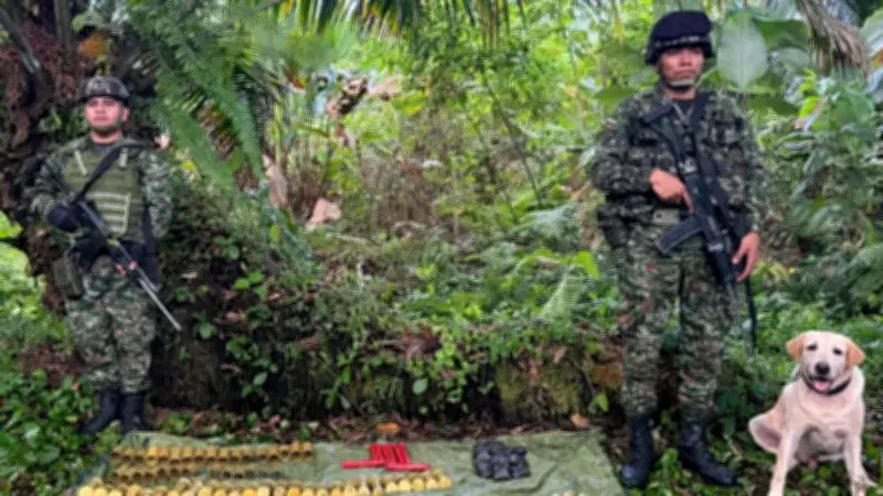 Ejército halla más de 250 minas antipersona en Tumaco, Nariño