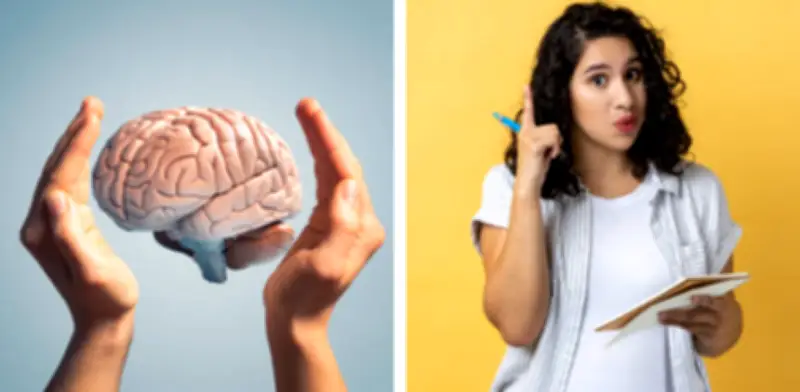 El cerebro nos engaña: los recuerdos son recreados, no son copias fieles