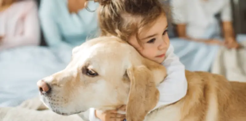 El excesivo entusiasmo de su perro al llegar a casa podría ser ansiedad, no felicidad