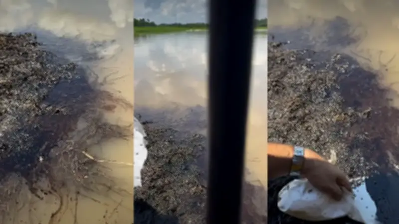 Emergencia ambiental en ciénaga El Llanito por lluvias y posible contaminación