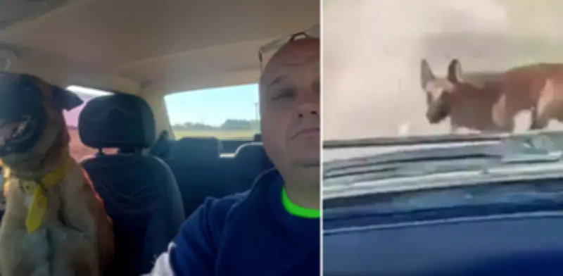 Emotivo reencuentro: hombre halla a su perro perdido tras días de búsqueda