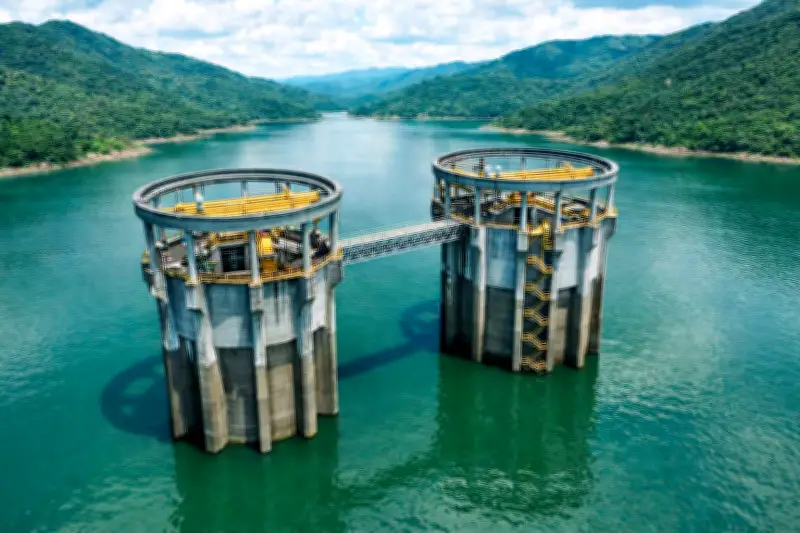 Energía renovable en Colombia: retos y oportunidades para la transición