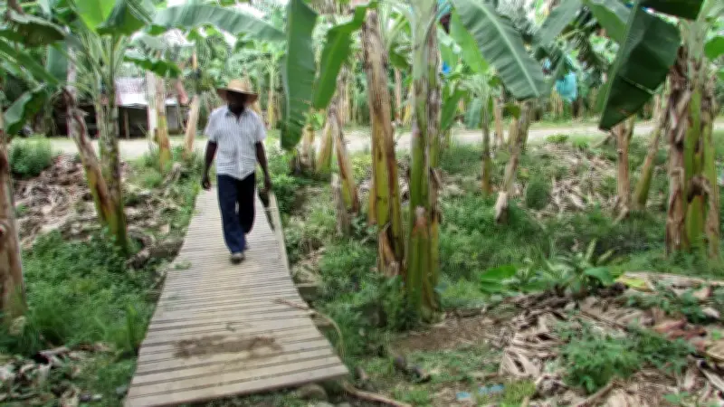 Estado colombiano responde a CIDH tras 23 años de disputa por tierras en Turbo