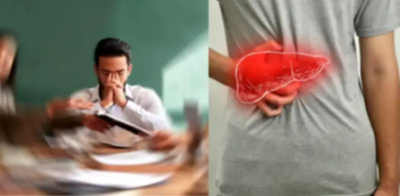 Estrés y hígado graso: cómo la tensión crónica daña tu salud hepática