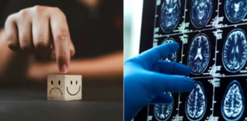 Estudio revela cómo el cerebro decide entre miedo a perder y posibilidad de ganar
