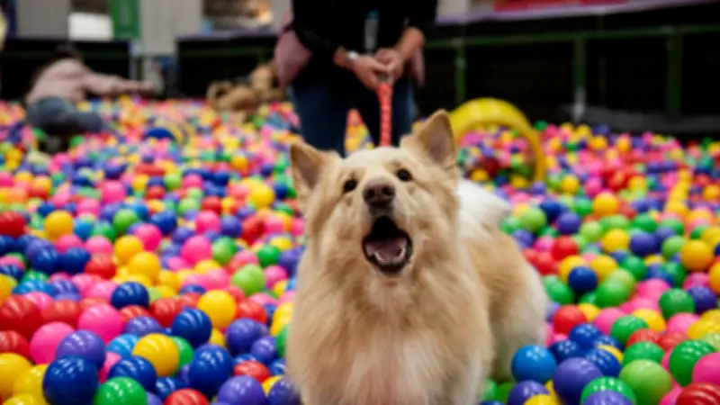 Expopet 2026 en Corferias: fechas, actividades y requisitos para mascotas